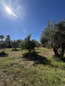 Quinta com 3 casas no Ladoeiro