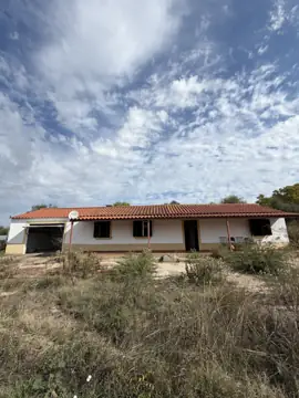 Farm with T2 house in Ladoeiro