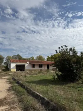 Farm with T2 house in Ladoeiro (photo 2)