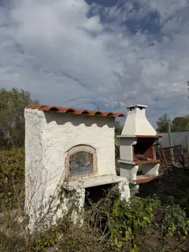 Farm with T2 house in Ladoeiro (photo 4)