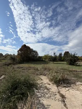 Farm with T2 house in Ladoeiro (photo 10)
