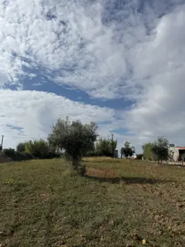 Farm with T2 house in Ladoeiro (photo 15)
