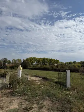 Farm with T2 house in Ladoeiro (photo 16)