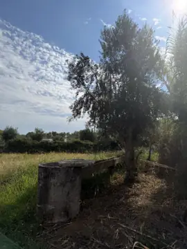 Farm with T2 house in Ladoeiro (photo 17)