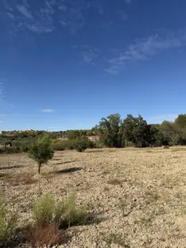 Terreno com 5 200 m² no Ladoeiro