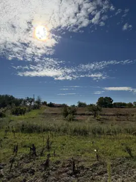 Terreno com 5 200 m² no Ladoeiro (foto 5)