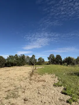 Terreno com 5 200 m² no Ladoeiro (foto 6)